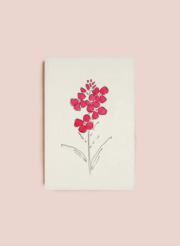 S_D_Wallflower_card.jpg