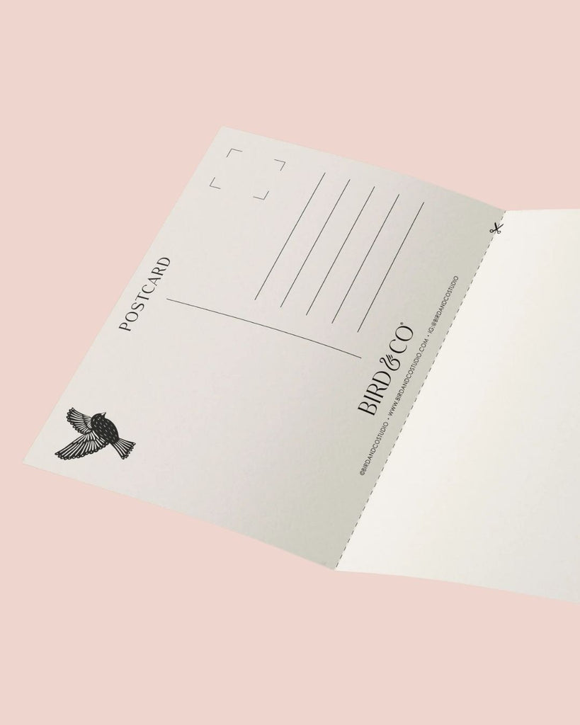 inside_bird_co_card.jpg